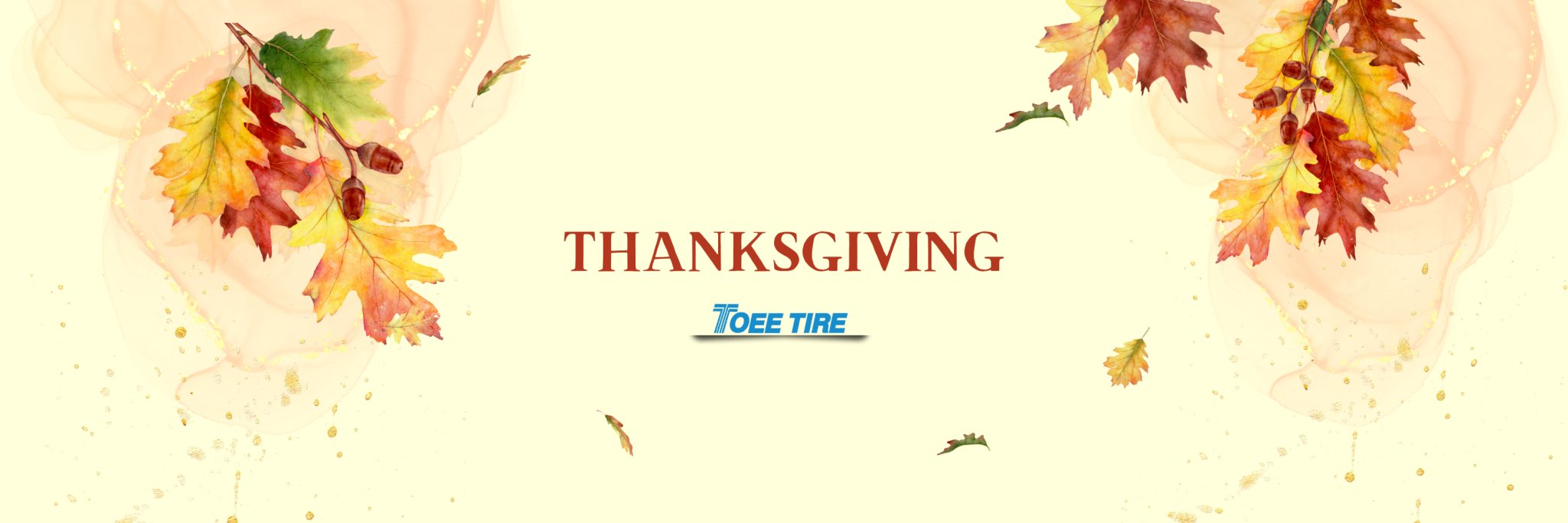 Thankful for the Journey: Thanksgiving! - Toee Tire