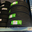 215/65R16 GRENLANDER L-SNOW96 WINTER - Toee Tire
